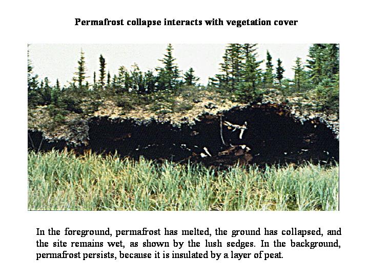 Slide 31