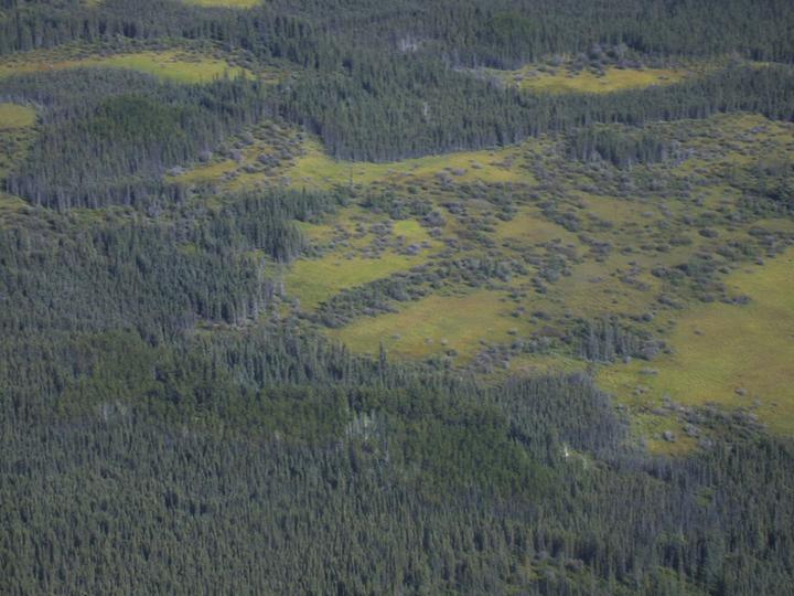 Slide 36