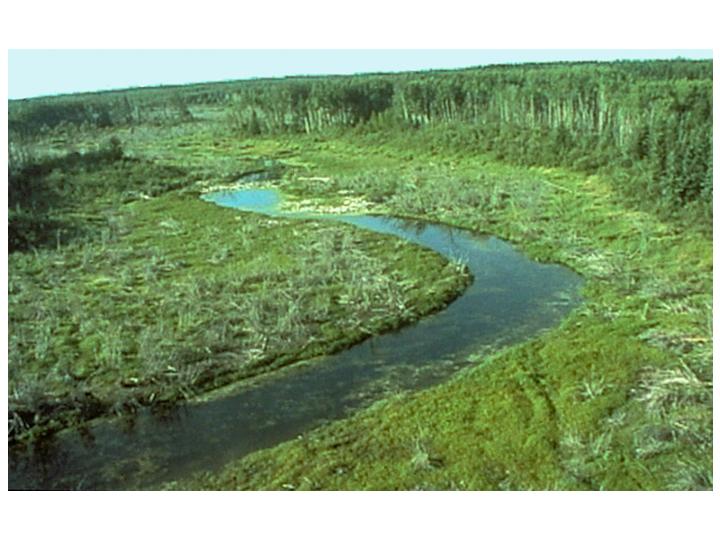 Slide 51