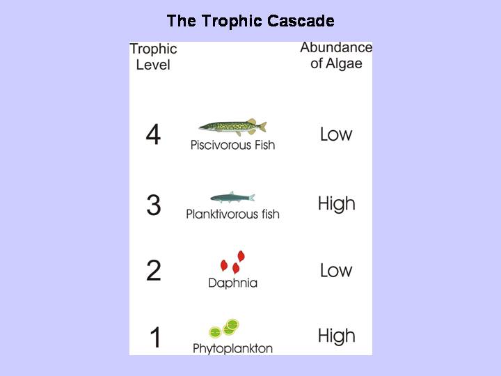 Slide 59