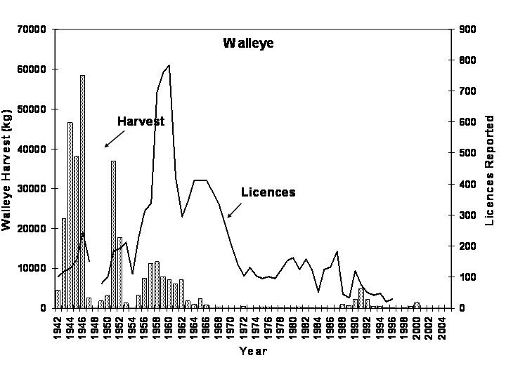 Slide 64