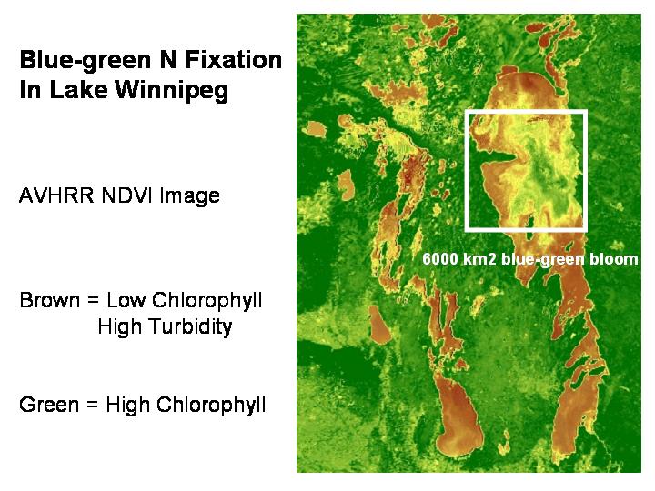 Slide 72