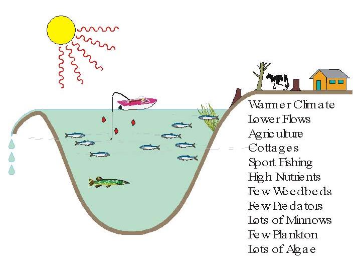 Slide 80