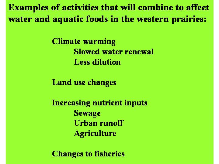 Slide 84
